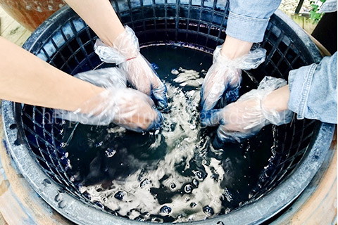 醗酵させた液で染める藍染は日本のみの染め方
